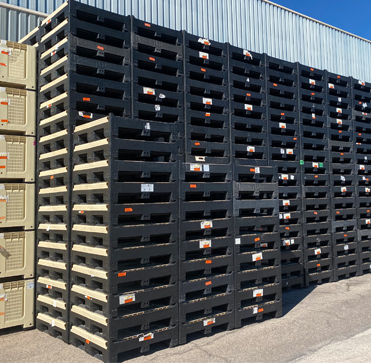 El Mercado de Envases Retornables Sigue en Auge: Proyecciones de Crecimiento Sostenido